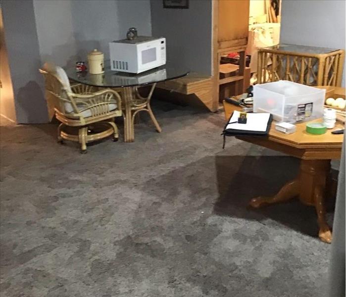 Sump pump failure affected a finished basement with carpeting