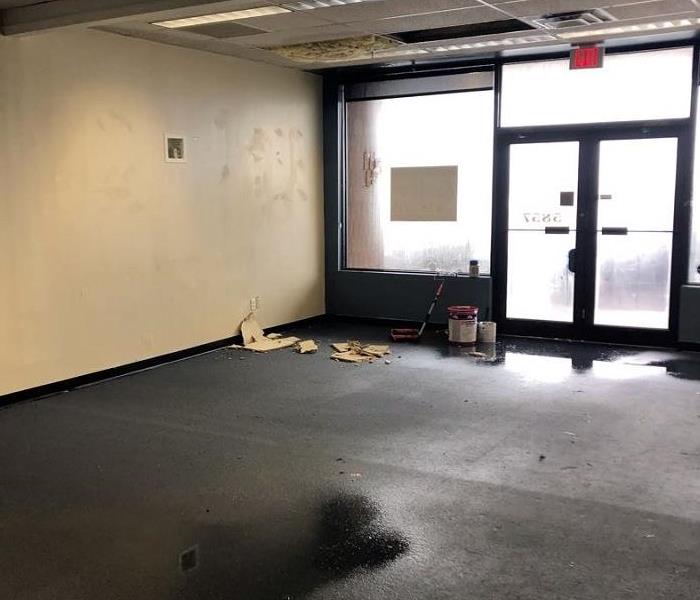 Photo is showing standing water on a carpet and wet insulation hanging from the ceiling