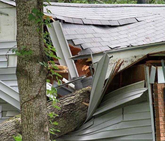 large tree fallen onto roof and side of house causing siding and roof shingles to be crushed from impact